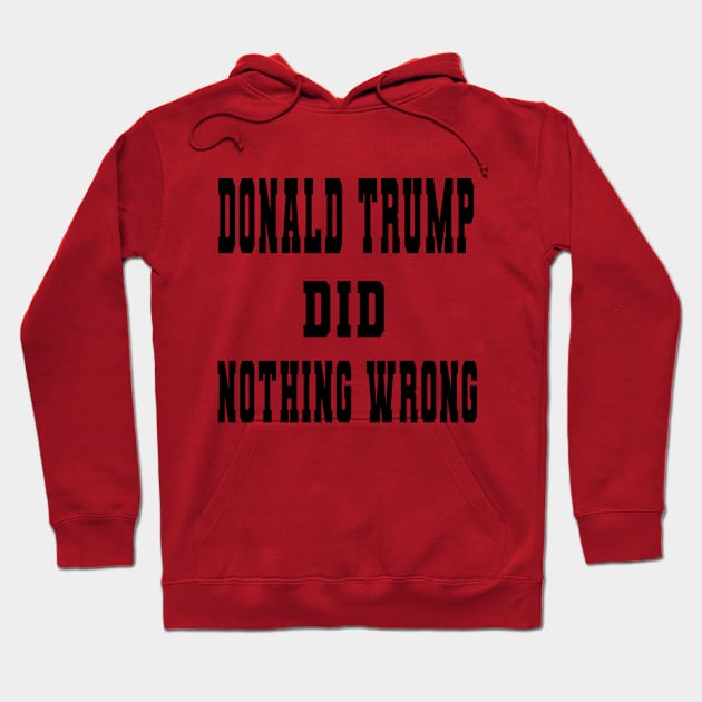 DONALD TRUMP DID NOTHING WRONG Hoodie by your best store